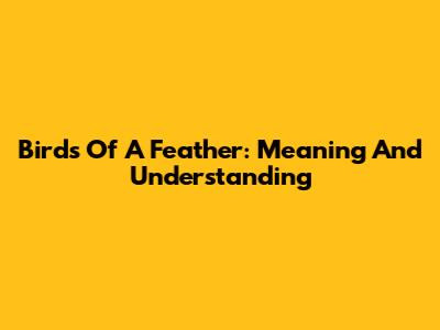 Birds Of A Feather: Meaning And Understanding