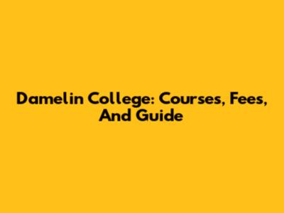 Damelin College: Courses, Fees, And Guide