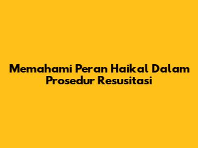 Memahami Peran Haikal Dalam Prosedur Resusitasi
